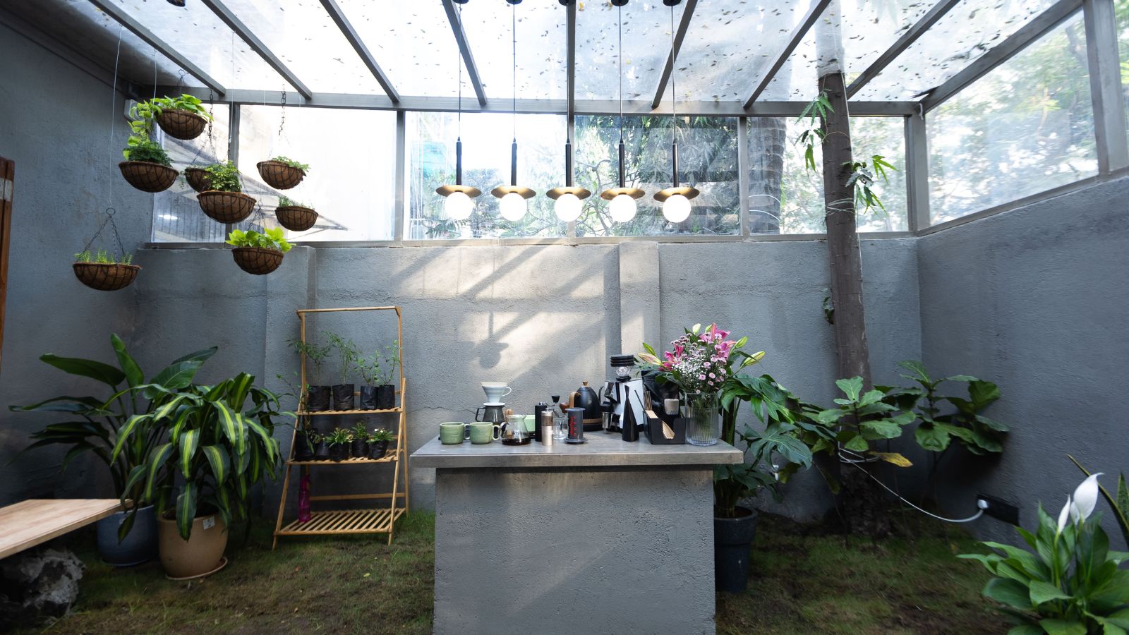 SLOW Café’s sunlit coffee counter surrounded by plants in Kandivali